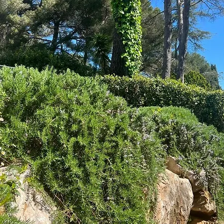 Willa Les Jasmins - Le Cannet-vallauris - Modern With Ac, Ideal For Fun And Work